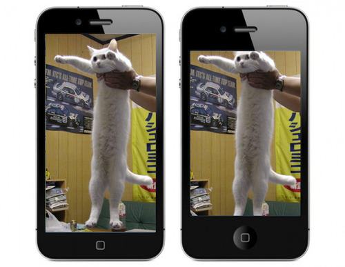 Iphone 5 longcat